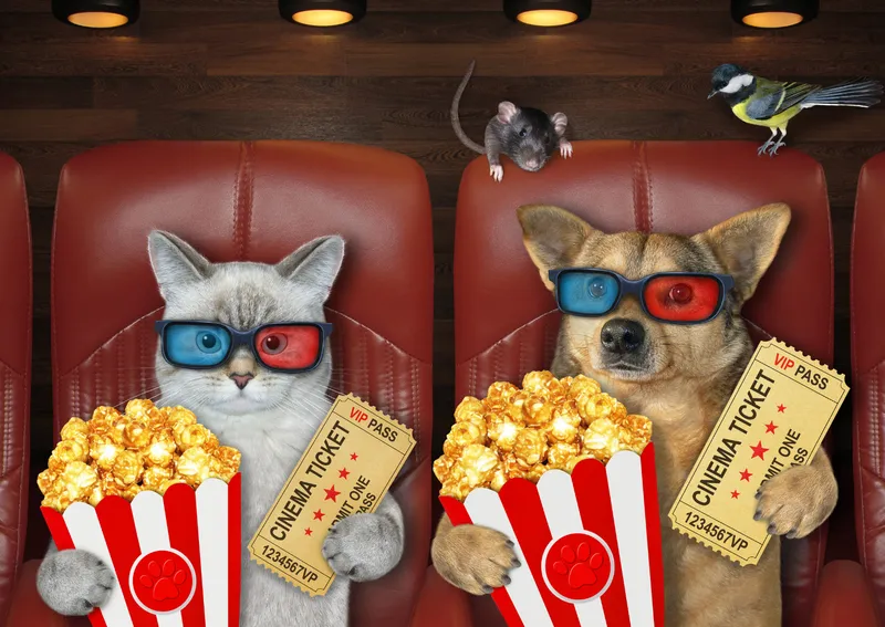 Индивидуальный подход